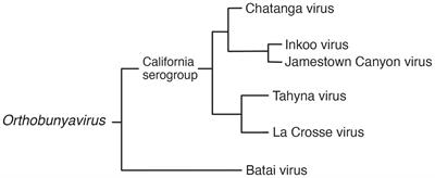 Mosquito-borne viruses causing human disease in Fennoscandia—Past, current, and future perspectives